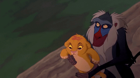 The Lion King GIF by Walt Disney Records - Find & Share on GIPHY