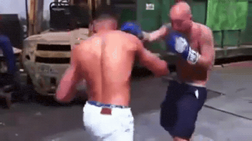 Boxing GIF