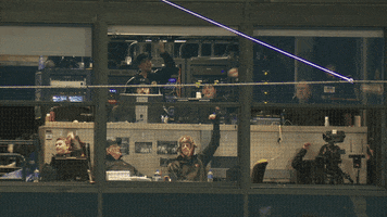 Great Lakes Loons GIF