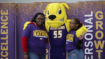 mascot discover GIF by Western Illinois University