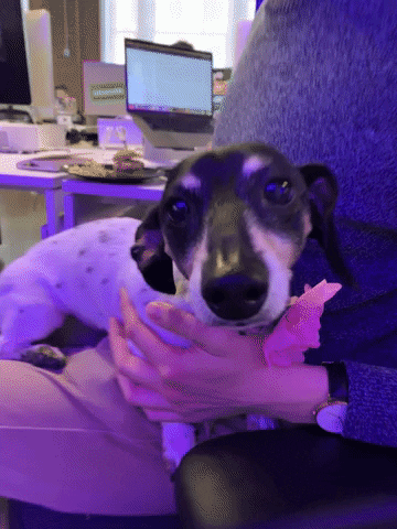 puppy kisses GIF by Alex Anderson