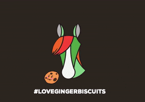 GingerBiscuits horse cookie snaks ginger biscuits GIF