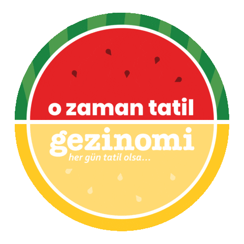 Travel Tour Sticker by gezinomi
