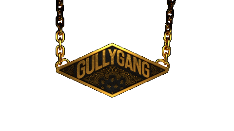 GULLY GANG (@gullygangindia) / X