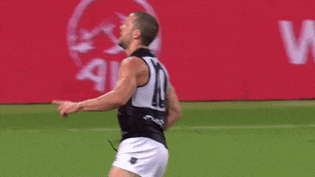 Never Tear Us Apart Football GIF by Port Adelaide FC
