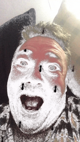 Antz GIF