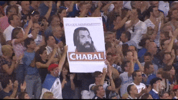 Happy France GIF by World Rugby