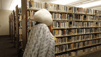 Library Gulls GIF by Endicott College