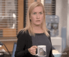 Season 9 Omg GIF by The Office