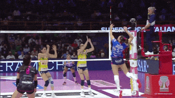 Point Smash GIF by Volleyball World