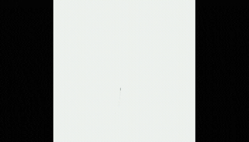 Black GIF