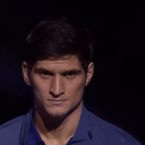 Ufc Vs GIF