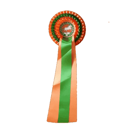 Paarden Sticker by Paardenmarktvianen