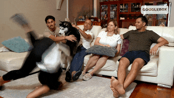The Office Parkour GIF by Gogglebox Australia