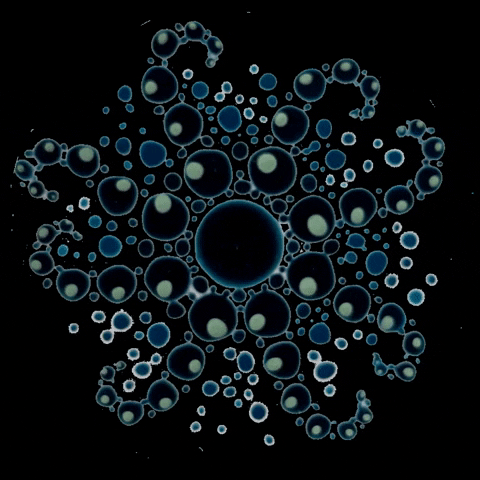 Sea Dots GIF by Julia from DotsDesign