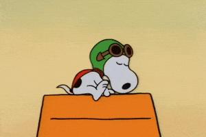 snoopy charlie brown GIF by Peanuts