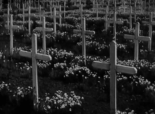 Morbid Black And White GIF - Find & Share on GIPHY