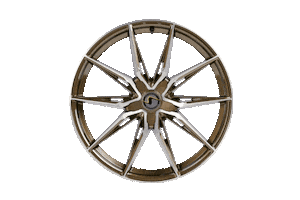 Wheels Twentyone Sticker by SchmidtRevolution