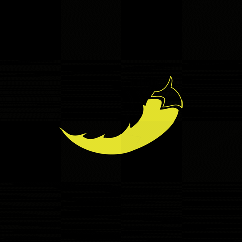 adSPICE GIF