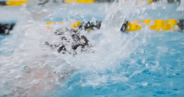 Georgia Bulldogs Swimming GIF by University of Georgia