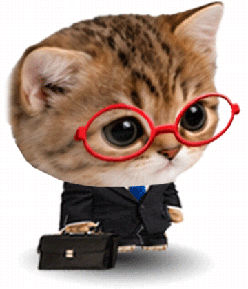 Cat Yes GIF