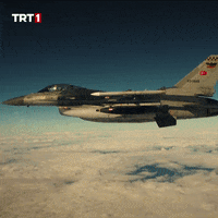 War Fly GIF by TRT