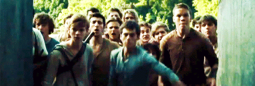 the maze runner
