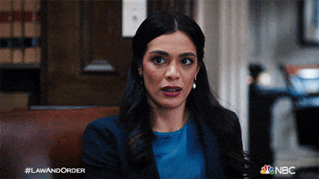 Episode 4 Reaction GIF by Law & Order