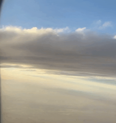 GIF by VREA Cosmetics