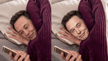 Meme GIF