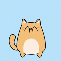 Cat Surprise GIF by MESA My Emotional Support Animal