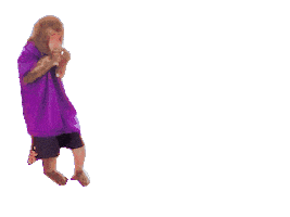 Fun Monkey Sticker