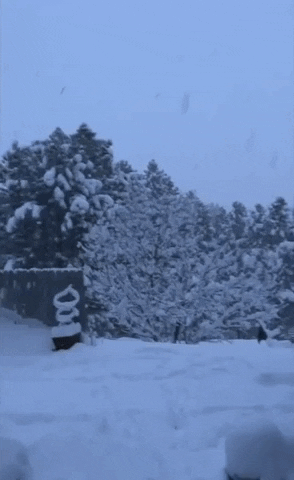 United States Snow GIF by Storyful