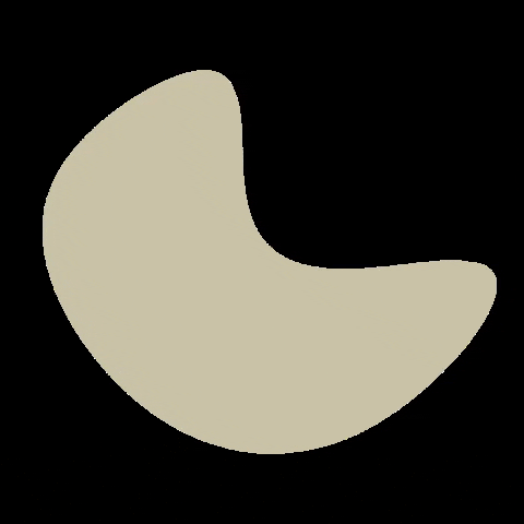 Bagmetissta GIF