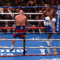Luis Ortiz Fight GIF by Premier Boxing Champions