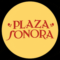 Festival Indierock GIF by Plaza Sonora