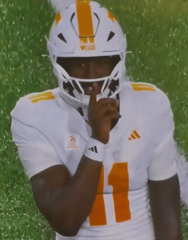 Tennessee Volunteers GIF