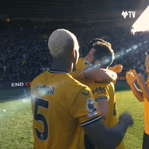 Premier League Hug GIF by Wolves