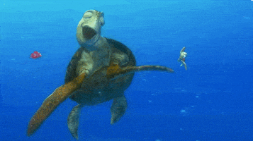 finding nemo animation GIF by Disney Pixar
