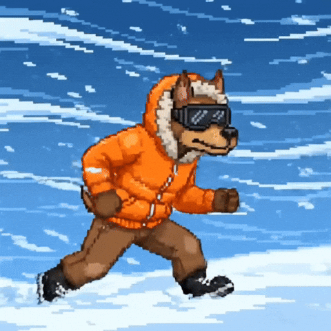 Dog Explore GIF by SkyDog Social