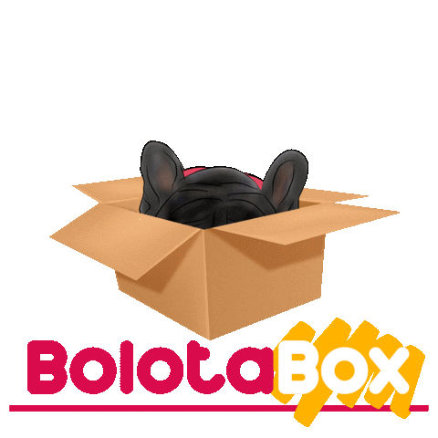 BolotaPets Sticker