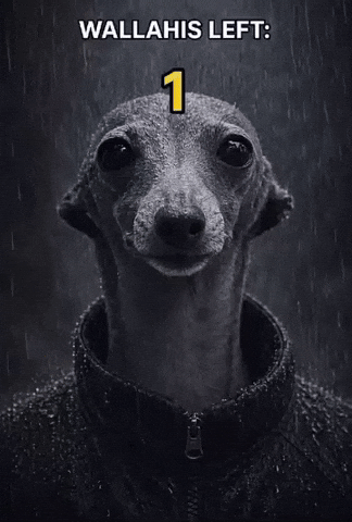 Saywallahi GIF