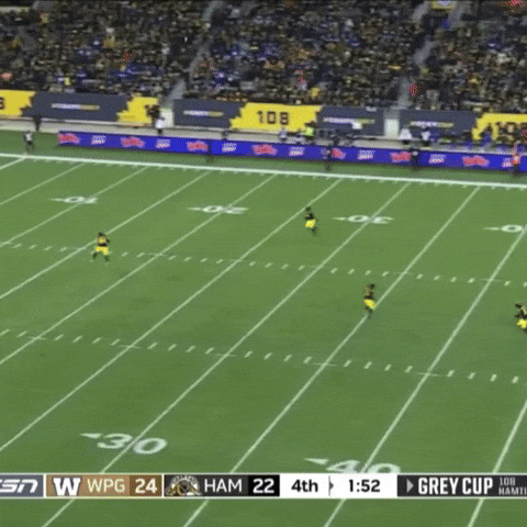 Tiger-Cats Cats GIF