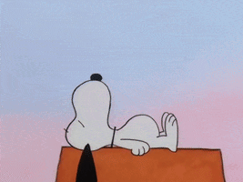 Valentines Day Sleeping GIF by Peanuts