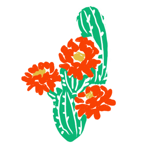 Cactus Sticker by Bonita Bodega