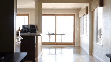 paws  GIF