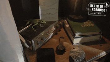 Christmas Harry GIF by Death In Paradise