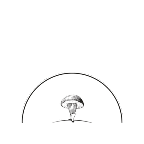 Fun Wine Sticker by BadiaHill