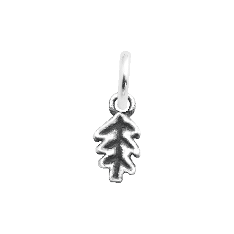 Oak Leaf Charm Sticker by Shop Dixi