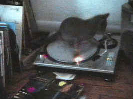 Shake Your Rump Spinning GIF by Beastie Boys